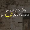 ali.jani796