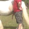 joe.stifford