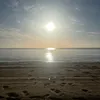 jaxonvrazo2