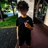 yanni_dz.95