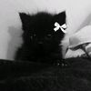 miseryalex666