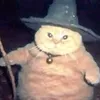 your_local_cat_lover