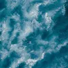 joel_2013_18