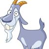 billygoat123456789