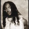 wiztrilleafa