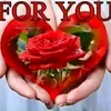 saadane689