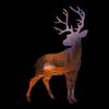 bigback0638