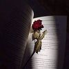 wafaa.said88