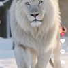 steve.hamilton44