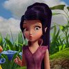 darcey.priiv