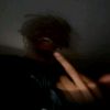 alcatrezishome0