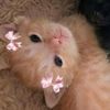 lisa_lover583