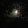 tranthuan____