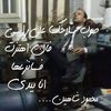 mahmoud.shaheen271