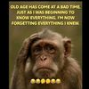 boniface.kikami0