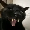grimace_shake1488