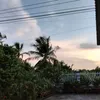 chon_chon318