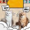 Pocky & Holy 😸