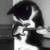 meww005