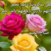 allli537