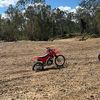 landyacton