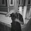 zamnew220411