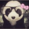p4pandaaaaaa1