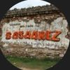 sasarez2025