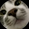 s152337