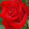 user1993819276125