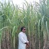 shoukat.ali.sahit8