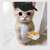 puyalsn