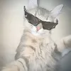zoinyt1
