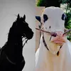 BULLS🐂 +HORSE🐎