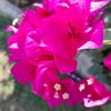 nalugo.susan