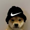 username_238819