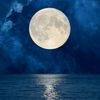 moon74797