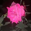 user2414813758474
