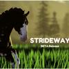 strideway_pico