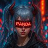 supperpanda02