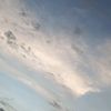 dafnevilla24