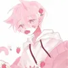 junk_cat1