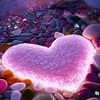 love_in_idleness0