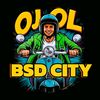 OJOL BSD CITY