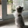 fenawwwwwww