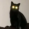 gatopretobc04