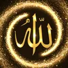 alhamdolillahmuslim
