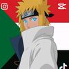 ajawid6