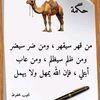 user44657749977yafay