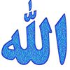 user14253986662251